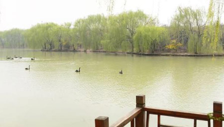 阜陽十大好玩的地方，阜陽有什么好玩的地方景點(diǎn)